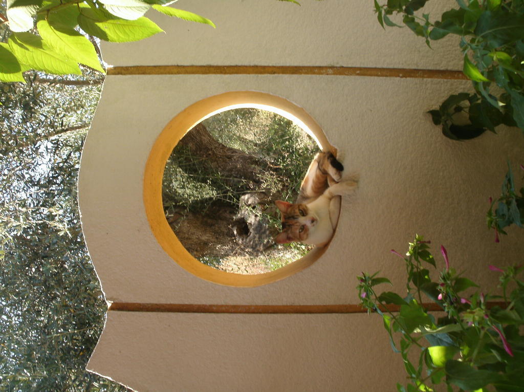 Aparthotel Athina Kávos Exteriér fotografie